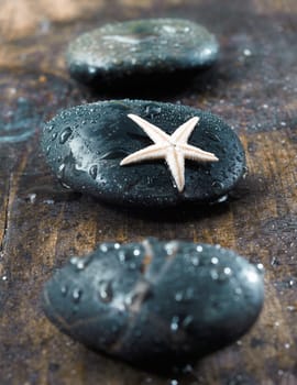 Smooth black massage stones covered in water droplets with a starfish conceptual of marine based therapy at a spa