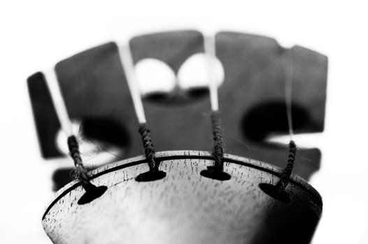 Detail of the old fiddle bridge - macro
