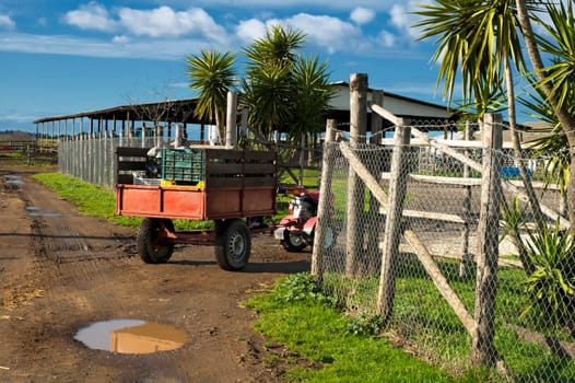 small tractor with trolley within a farm