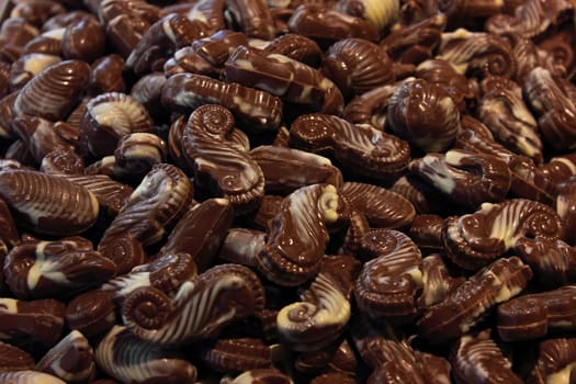 Belgium chocolate theme - sea creatures from chocolate in a choco shop.