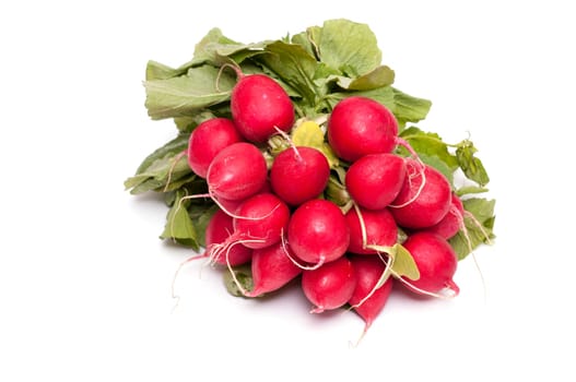 A bunch of red radishes on a white background