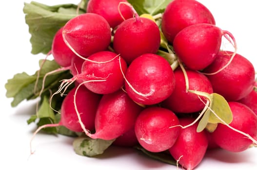 Close-up against white background of red radishes