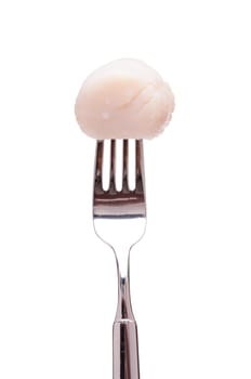 White Insulated Scallop on a Fork
