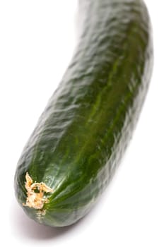 Close-up of a green cucumber on white background