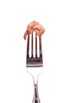White isolated North Sea crabs on a fork
