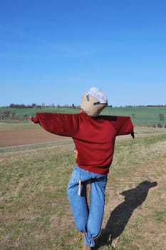 scarecrow in field