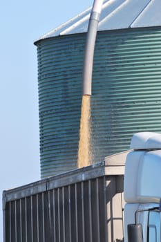 lorry filling with grain from silo