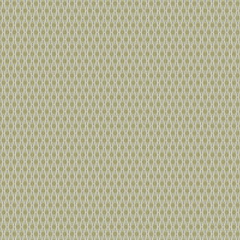 the vintage shabby background with classy patterns