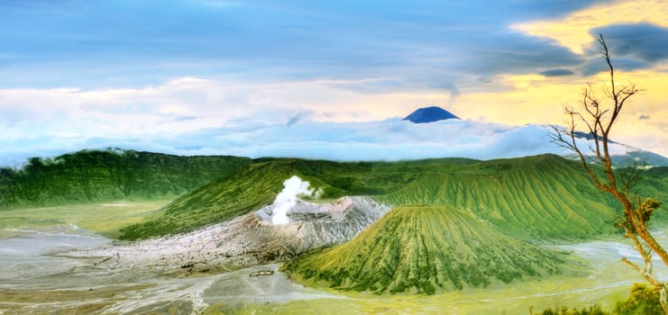 Bromo Tengger Semeru national park. Java. Indonesia