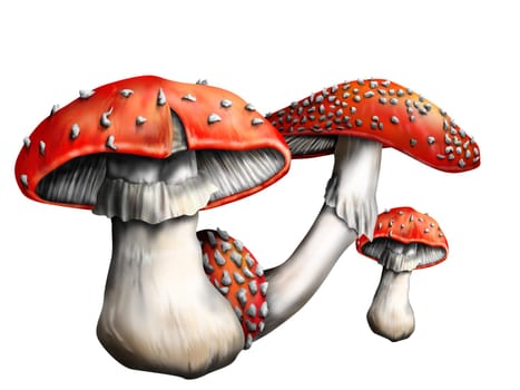 Isolated illustration of a small group of magic mushrooms