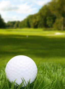 Golf Ball in Grass -  Golf Course in Background