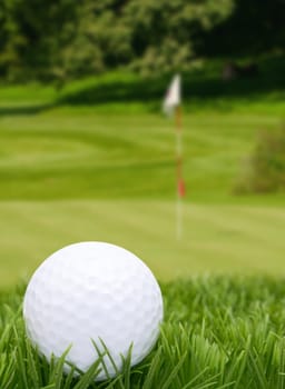 Golf Ball in Grass -  Green With Flag in Background