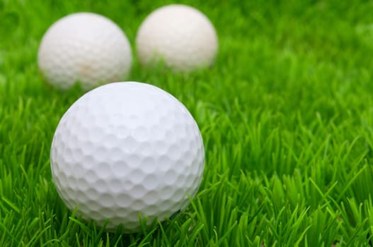 Group of Golf Balls in Green Grass