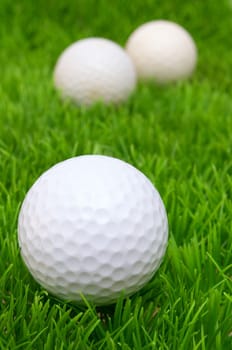 Group of Golf Balls in Green Grass
