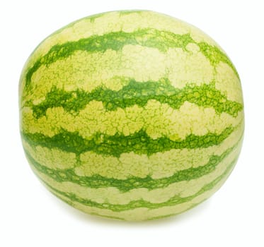 Fresh Watermelon on White Background