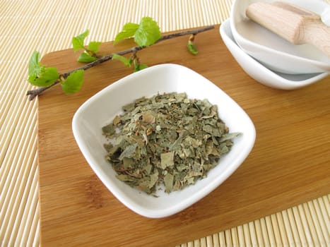 Birch leaves,Betulae folium