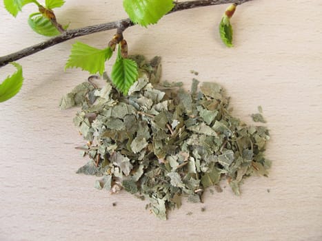 Birch leaves,Betulae folium