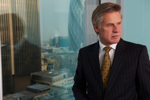 Portrait of a senior executive by a window  looking off camera