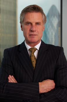 Portrait of a senior executive by a window looking at camera