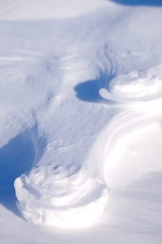 A polar bear track in the snow