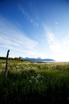 A landscape in northern Norway with grass, ocean and a mountain