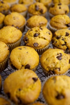 Freshly baked chocolate chip pumpkin muffins