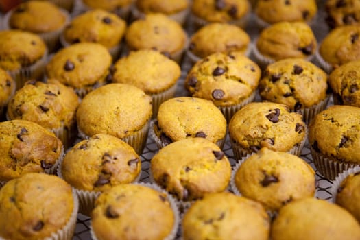 Freshly baked chocolate chip pumpkin muffins