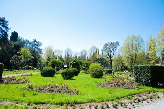 Sunny day in Riviera park in city Sochi