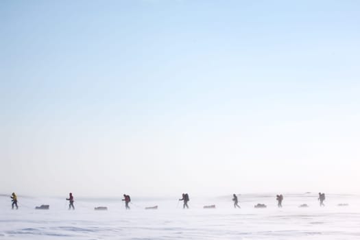 A group of adventurers on a arctic expedition