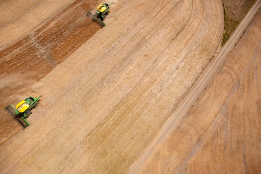 Two harvesters combining a lentil field on the prairie