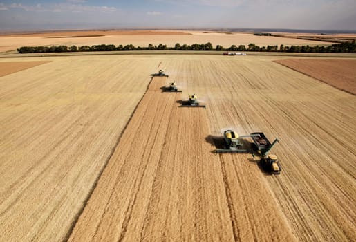 Four harvesters combing on a prairie landscape in formation