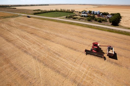 A harvester filling a grain truck with farm yard in background