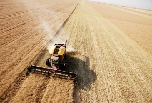 Combine harvesting canola on a praire landscape