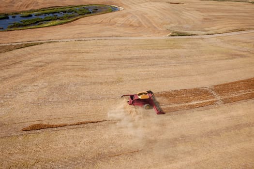 A green harvester on the open prairie, finishing up a field of lentils