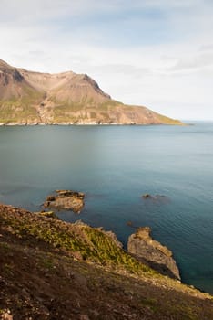 fjord on the coast of  Borgarfjordur  in Iceland