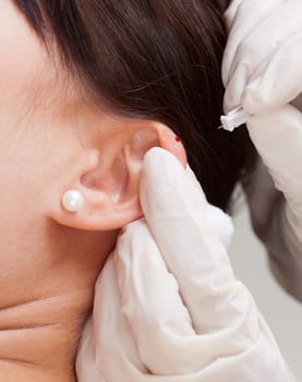 Macro detail of a small drop of blood on the apex of an ear in an auricular acupuncture treatment