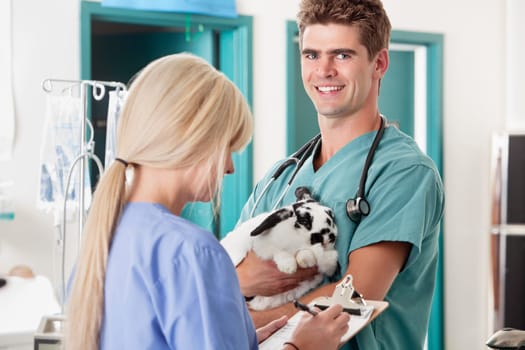 Portrait of veterinarian holding rabbit and his coworker taking report