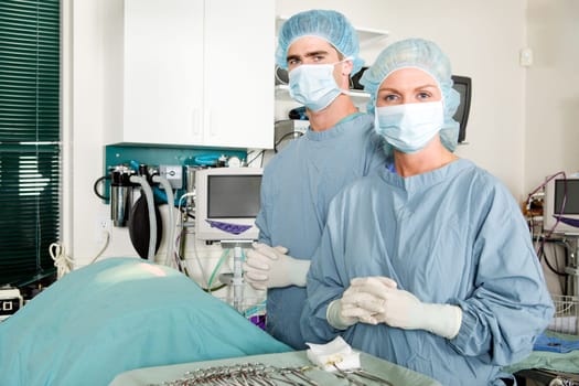 A portrait of a small animal surgeon and assistant