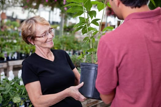 Man handing over potted plant to female customer