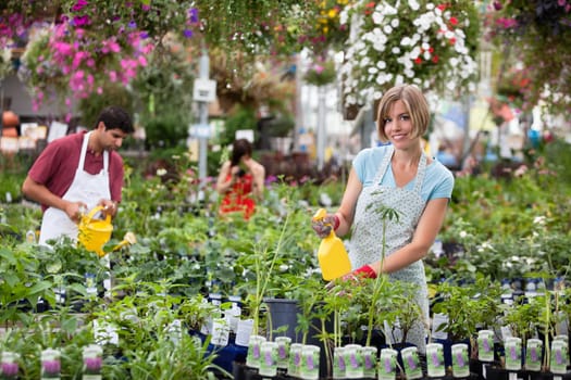 Workers watering the plants at greenhouse