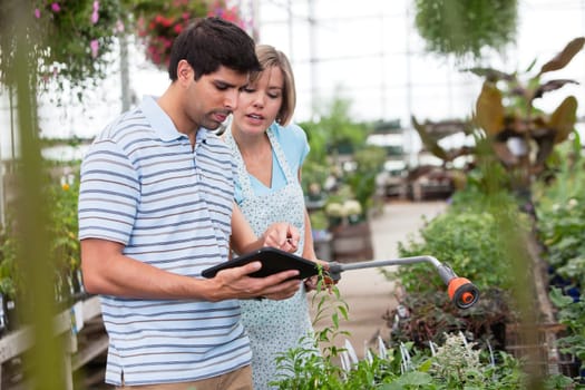 Customer using a digital tablet in greenhouse