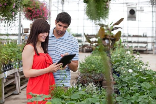 Couple looking at digital tablet in greenhouse