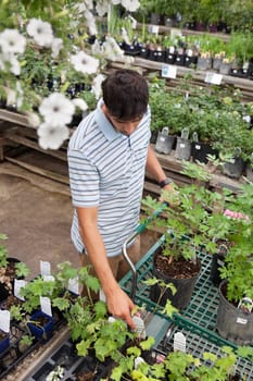 High angle view of young man shopping for potted plants