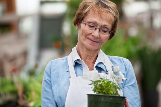 Smiling senior woman looking down at potted plant
