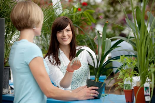 Worker helping customer with plant in garden center
