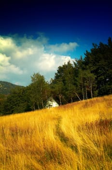 Beautiful landscape of mountains, meadow, forrest in autumn