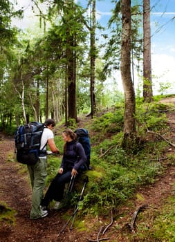 A couple backpack camping in the forest looking at a map