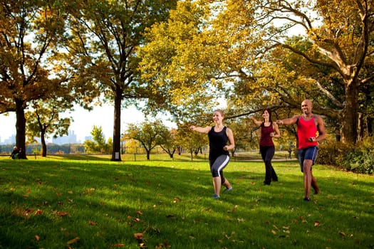 A group of young adults training martial arts in the park