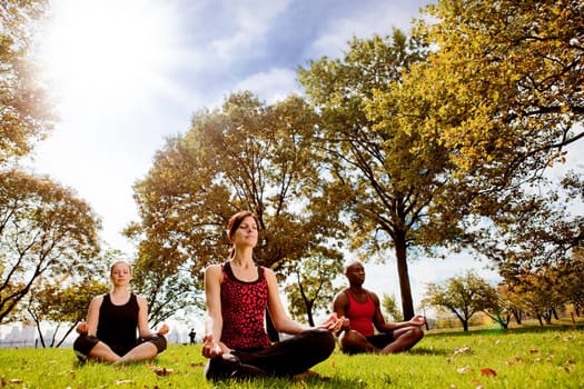 A group of people doing yoga in a city park