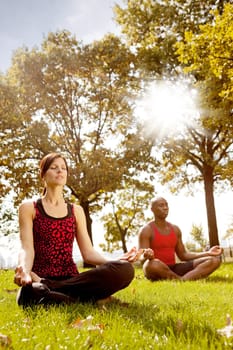 A group of people meditation in the park - taken into the sun with lens flare